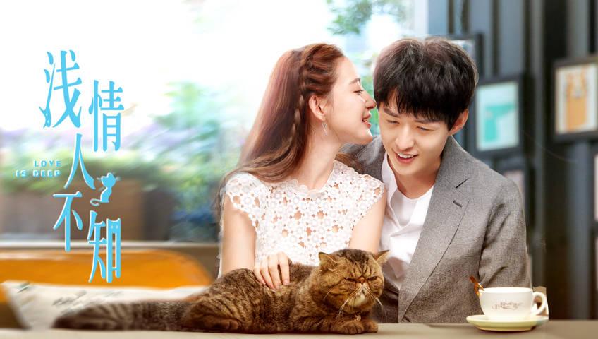 小猫钓鱼开船版最新版下载